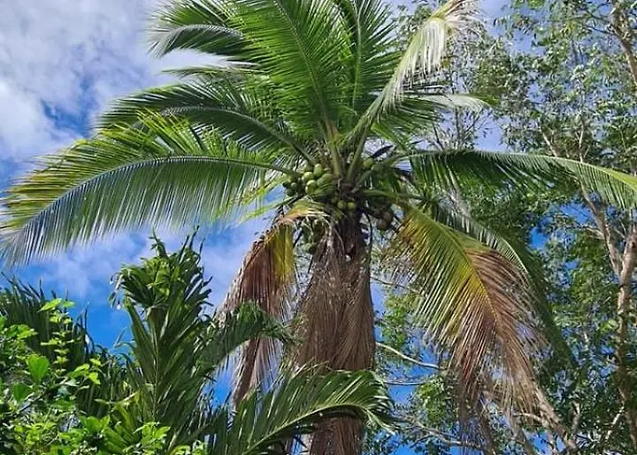 Casa Lupa Сasa de vacaciones *