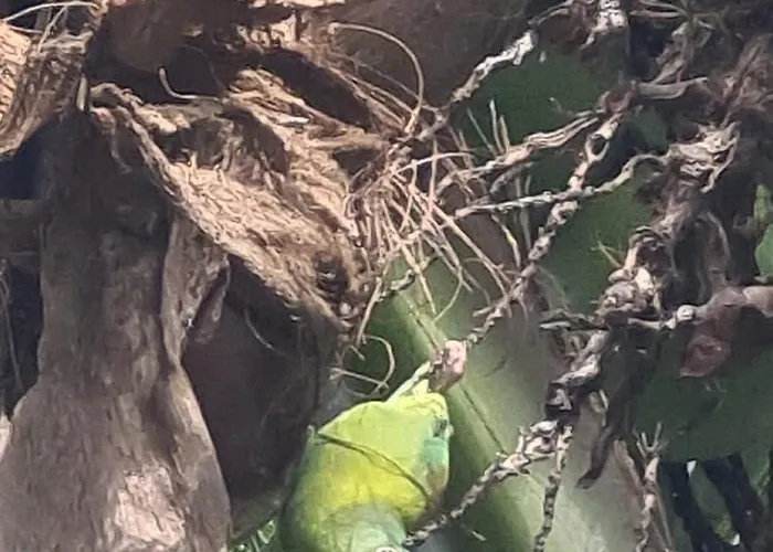 Сasa de vacaciones Casa Lupa San Rafael (Guanacaste)