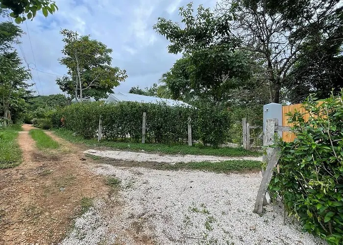 Casa Lupa *